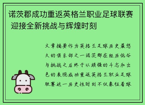 诺茨郡成功重返英格兰职业足球联赛 迎接全新挑战与辉煌时刻